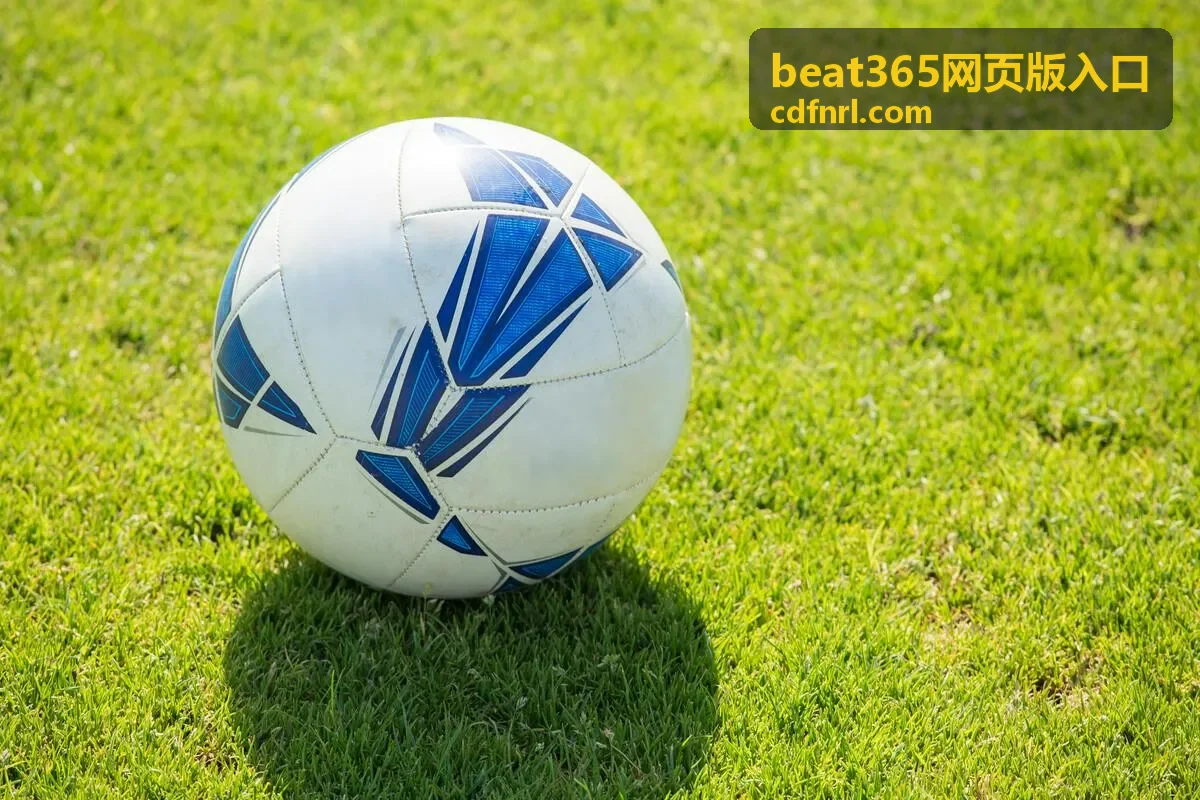 beat365网页版入口账号安全设置封面